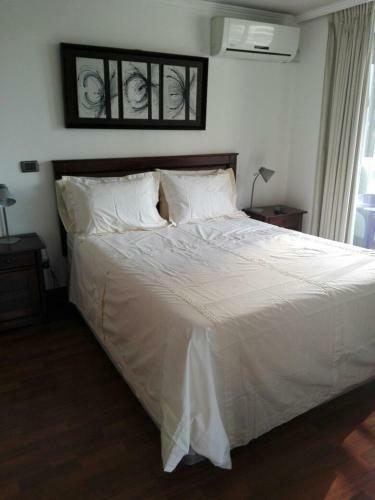 Apartamento Austral Rentahome Barros Borgo�o
