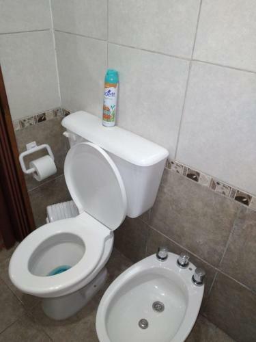Lodge Caba�a Los Sauces