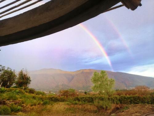 Amatea De Villa De Leyva