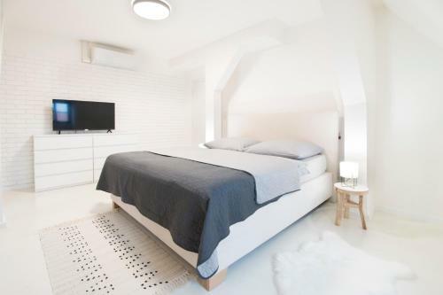 Apartm�n M�cha U Zlat� Hv?zdy