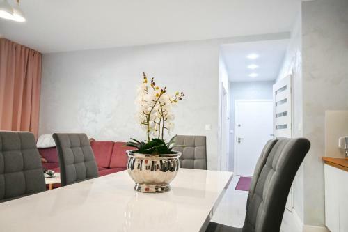 Apartamenty Morskie Moonlight ?uk?cin