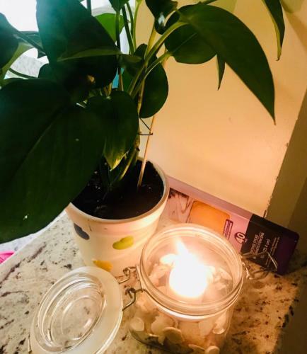Sunny And Relaxing 2br Apartment With Parking!