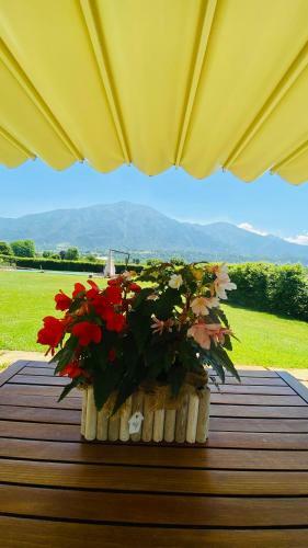 Bed & Breakfast La Tana Del Grillo
