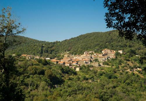 Hostal Affittacamere Nonna Nana