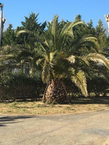 Mobil Home � La Carabasse