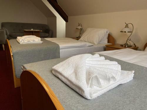 Hotel Z�me?ek Raspenava