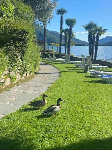 Apartamento Holidays On The Lake Lugano 216