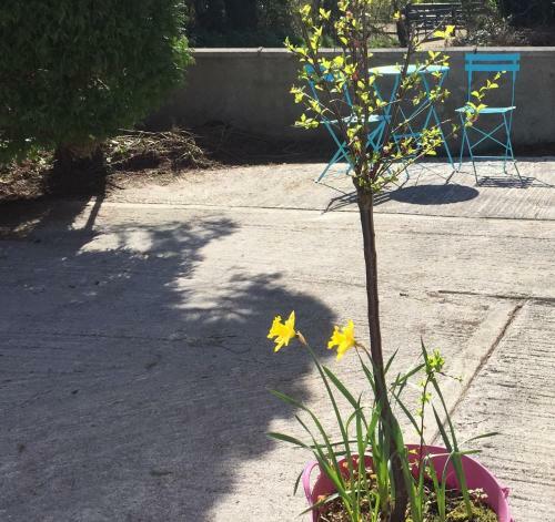 Hostal Carrick-on-shannon Guest House
