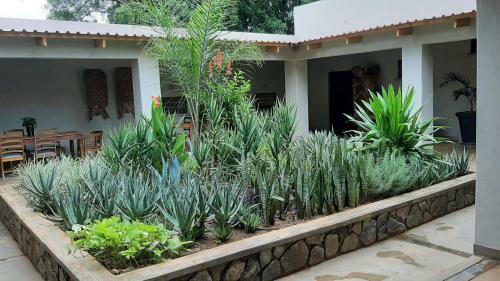 Hotel Mitengo House