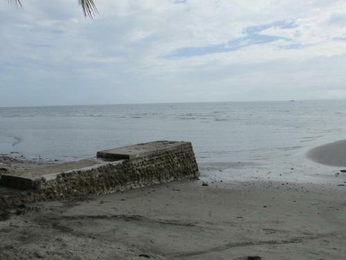 Felipa Beach Residence - Lotus