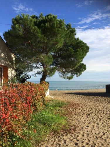 Bed & Breakfast Villa C�te Vermeille