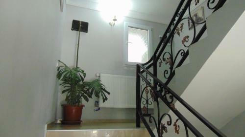 Hostal Old Street Guesthouse