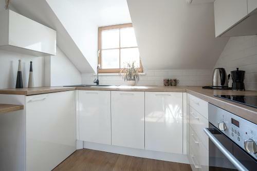 Baron Arthouse Apartment