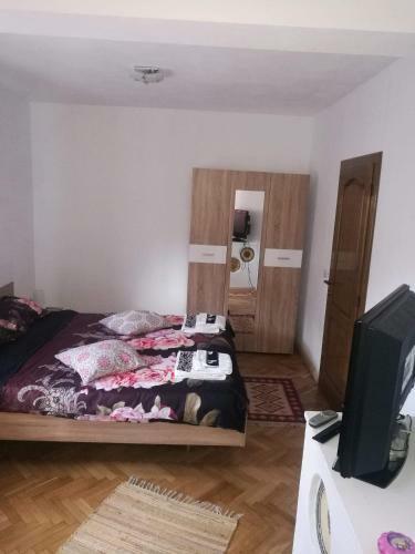 Hostal Cabana Costesti