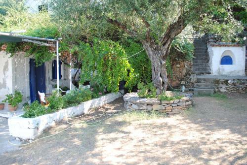 Portela Beach House