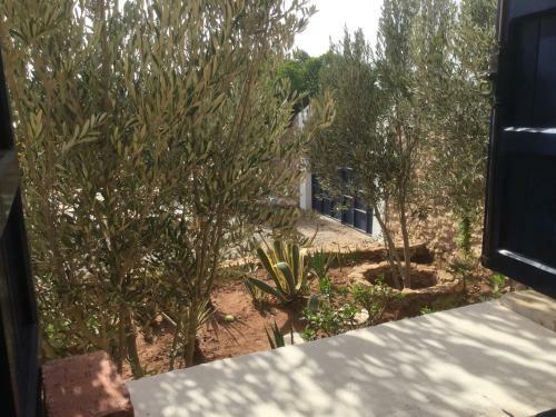 Agroturismo Dar Albatros
