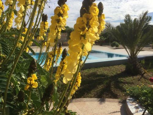 Agroturismo Dar Albatros