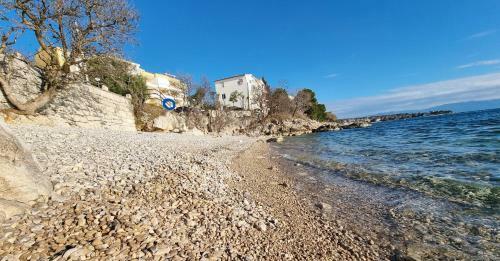 Studio Apartman Rene