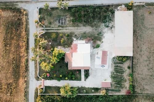 Stella's Holiday House