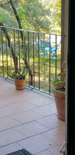 Casa Vacanza Etna Evergreen