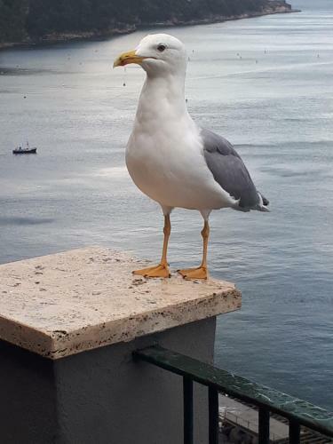 Apartamento Salerno Centraal