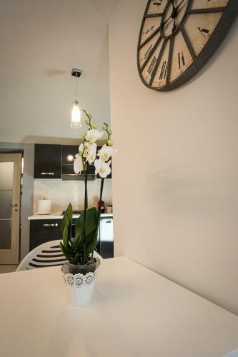 Apartamento Casa Ricardi