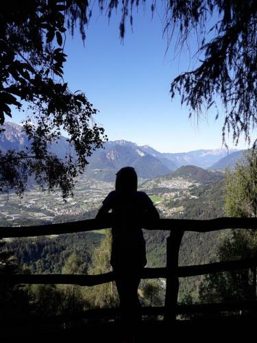 B&B Elis�