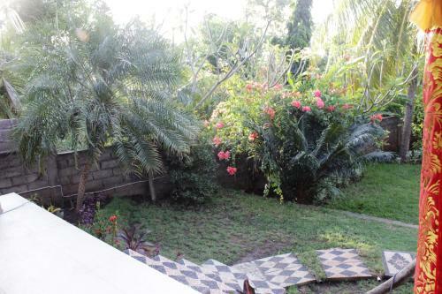 The Banyan Menjangan
