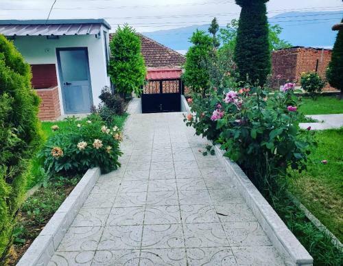 Villa Vila Emilio