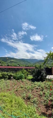 Eco Hotel Borjomi