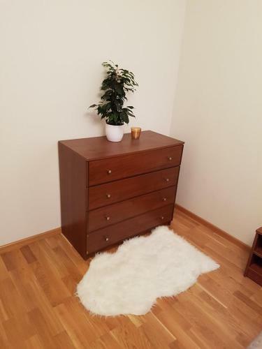 Velvet Apartment