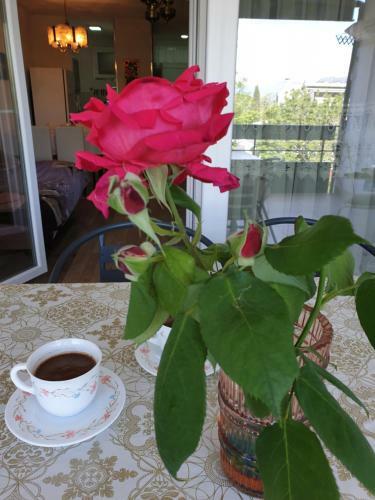 City Apartment Dojran