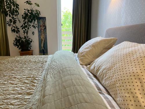Marko Apartamentai