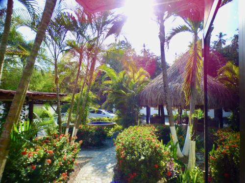 Hotel R�o Vivo Spa