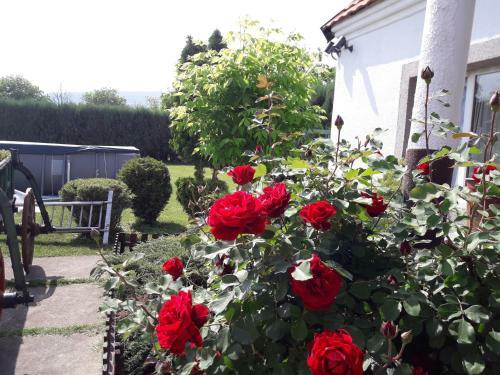 Villa An Apartman Tina Lux
