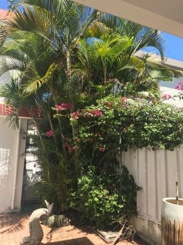 Apartamento Oceanpride Complex