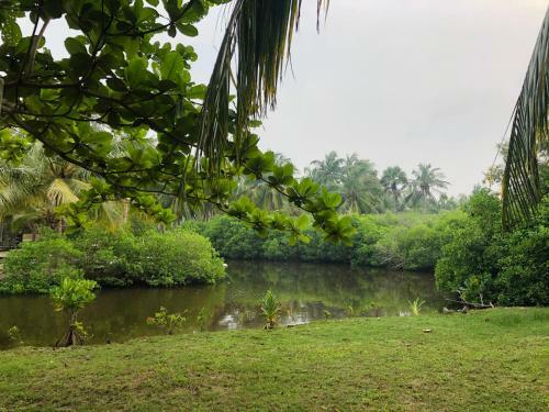 Bed & Breakfast Kalpitiya House