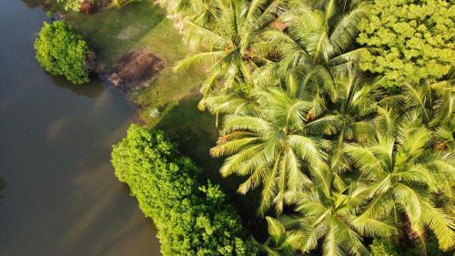 Bed & Breakfast Kalpitiya House