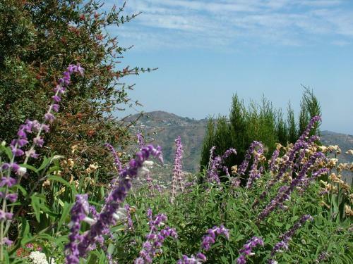 Finca Vi�a