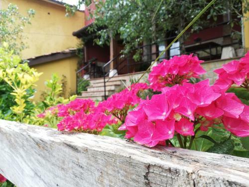 Agroturismo Casas Los Cantores