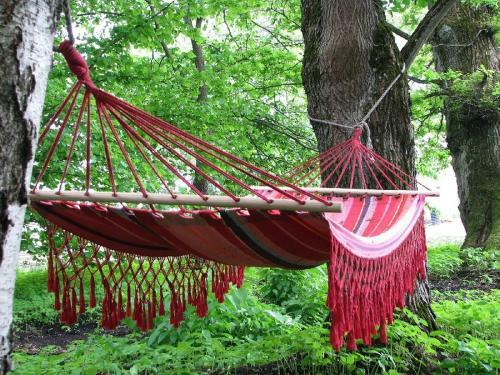 Agroturismo Torma Puhkemaja Ja Gl�mping