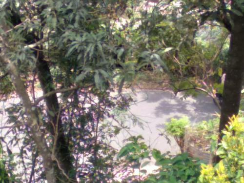 Apartamento Parice Mount View