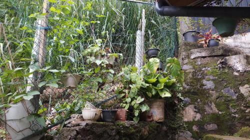 Apartamento Parice Mount View