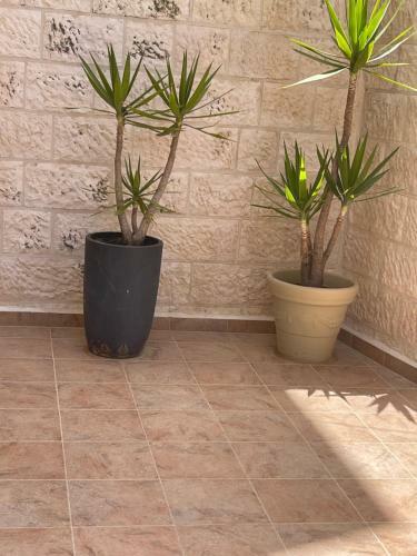 Apartamento Roof Top