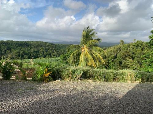 Bungalow Vue Mer Et For�t