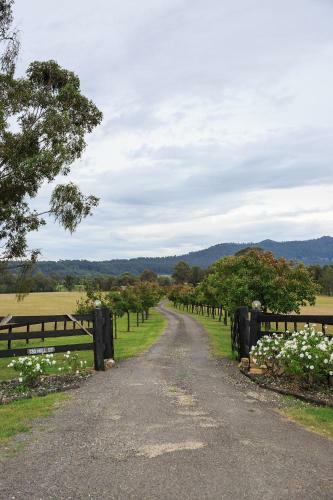 Villa The Wellness Farm