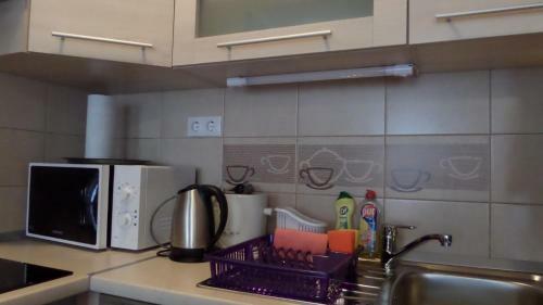 Rex Apartman