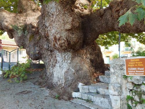 Apartamento San Floran Houses 'mini"