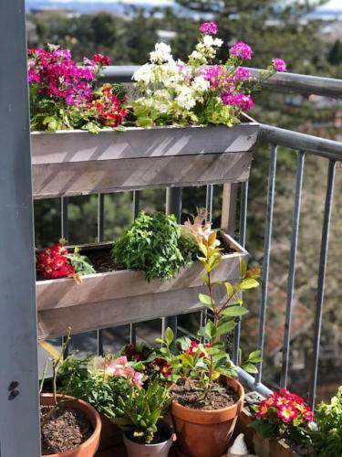 Apartamento Cosy Studio With Balcony And Amazing Views
