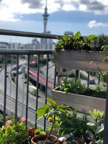 Apartamento Cosy Studio With Balcony And Amazing Views